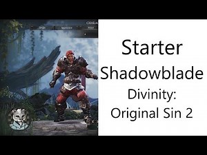 ✅ Basic Starter Shadowblade in Divinity: Original Sin 2