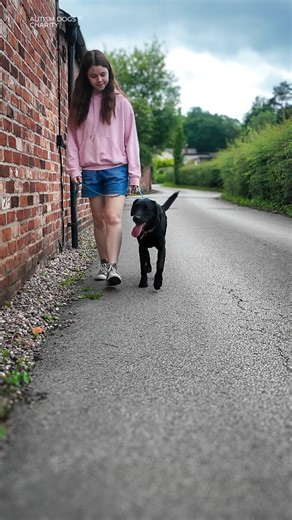 55 reactions · 3 comments | Ever wondered how an assistance dog helps someone with autism? Watch Isla share how her overnight playdate with Ronnie brought her peace, laughter, and growing confidence for everyday challenges. #AutismDogsCharity #AutismSupport | Autism Dogs Charity | Facebook