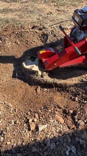 Our stump grinding service removes unsightly and hazardous stumps left behind after tree removal. Using professional-grade equipment, we grind the stump below ground level to eliminate trip hazards and allow for replanting or landscaping in the area. All wood chips and debris can be hauled away or left on-site per your request.Perfect for improving curb appeal, preventing pest infestations, and creating a clean, level space for your yard.Includes: • Grinding stump 6–8 inches below grade • Surfac