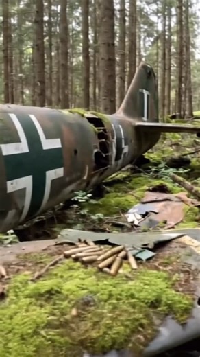 Treasure sniiper | Forgotten History: Finding a WWII Plane Hidden Deep in the Forest | Instagram