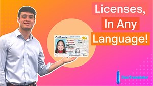 Easily Translate Drivers License Online ⭐️ DocTranslator