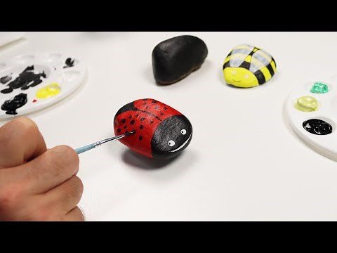 Make your own pet rocks: insects
