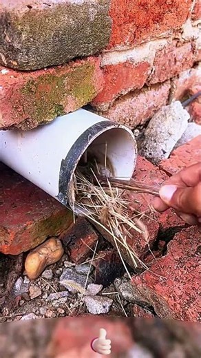 Stainless steel pipe protection net against rats and birds 🐭🐦🛡️🧊🔗