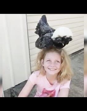 Girl With Autism Is A Chicken Whisperer | The Dodo