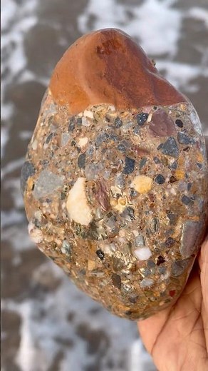 Rare Conglomerate Rock Identification | Coastal Geology.#stone #stonecollection #rock