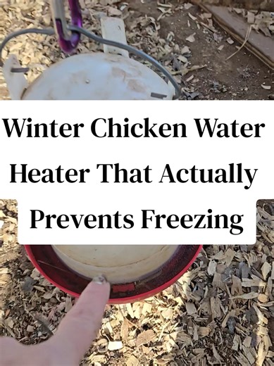 Winter Chicken Care: Keep Water from Freezing