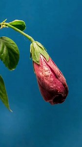 15K views · 53 reactions | Scientists are investigating every...