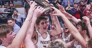 Check out how LeRoy, GCMS and Normal Community fared in sectional championship games