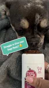 Easy Way to Give Your Dog a Pill: Simple At-Home Trick