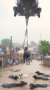 534K views · 2.2K reactions | QTECH on Reels | Facebook