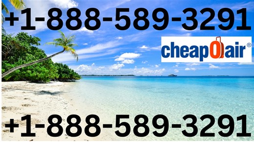 How to Call Official Cheapoair【Customer Service】? 51 Ways to Access Cheapoair® Customer Service