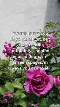 🌙 God Still Has Good Plans for You | Light For The Soul 🙏