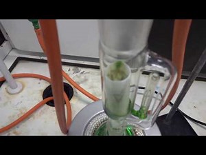 Soxhlet extraction of rosemary leaves VID 1593500132965