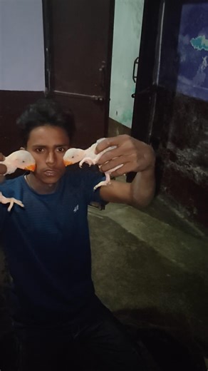 #viral video #jharkhand aaj hum Hom dilevery karne ja rahe hai