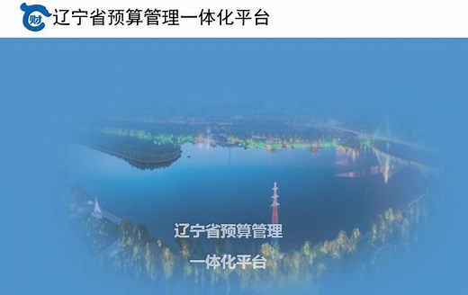 预算管理一体化实操教程 1.01基础信息录入——单位信息录入