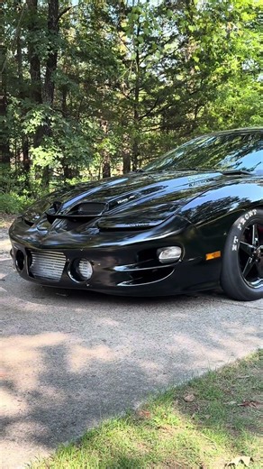 Boosted LSX Pontiac Trans Am WS6 #pontiac #transam #ws6 #supercharged #boosted #lsx #e85 #fyp