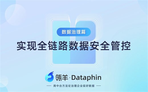 企业数据治理体系（三）利用Dataphin开展数据安全管理（瓴羊出品）