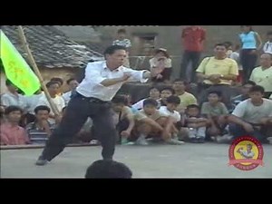 Grandmaster Siu Jan 邵真 Demonstrates "Grabbing Five Forms" (Laap Ng Ying 擸五形) of Dragon Style Kung Fu