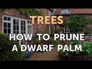 How to Prune a Dwarf Palm