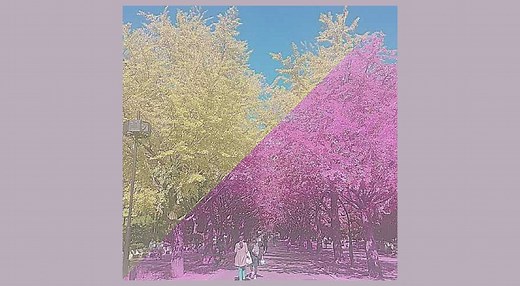 超カンタン！加工アプリ「Picsart」を使って画像・写真の色を変える方法を紹介！ | APPTOPI