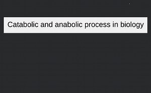 Catabolic and anabolic process in biology... | Filo