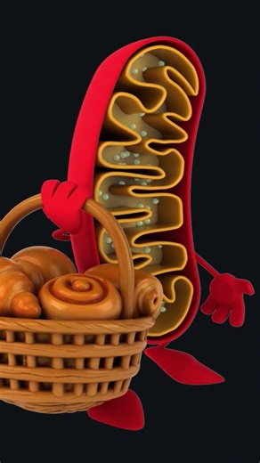 Why Metabolism Works Differently From Person to Person #shorts