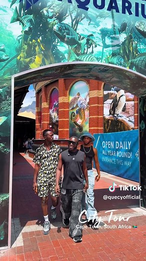 Explore Cape Town: A City Tour Adventure