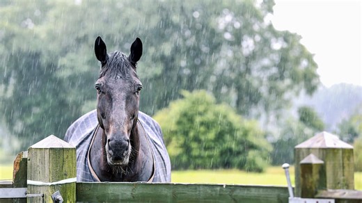How to reproof your turnout rugs at home, plus tips to keep them waterproof for longer