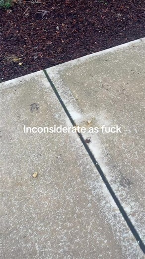 It pisses me off that people can’t bend over and pick up their dog shit. Most complexes have dog poop stations with bags and a trashcan to dispose of the dog poop. If you’re gonna be a pet owner, then be a pet owner and do it responsibly. We live in Washington you’re gonna get wet. Grab a bag on your way to walk the dog and pick up your shit. This is so irritating and it’s old. There is no reason that they could not pick up their dog shit off the sidewalk last night or early this morning.#dogs#p