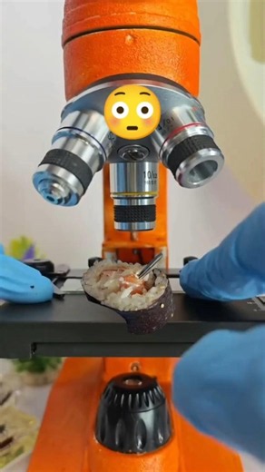 Sushi Roll Under Microscope 🔬😱 #shorts #shortsfeed #microscope