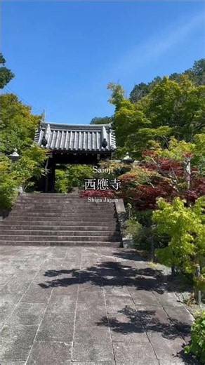 【週末おでかけ】誰にも教えたくない「美しすぎる隠れ寺」で写経とお抹茶体験 #絶景 #滋賀
