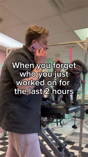 For whatever reason my mind goes blank when they say hello 😂 #doggroomingsalon #doggrooming #doggroomer #doggroomers #doggroomerlife #relatable #workplacehumor | Jay Snowdon