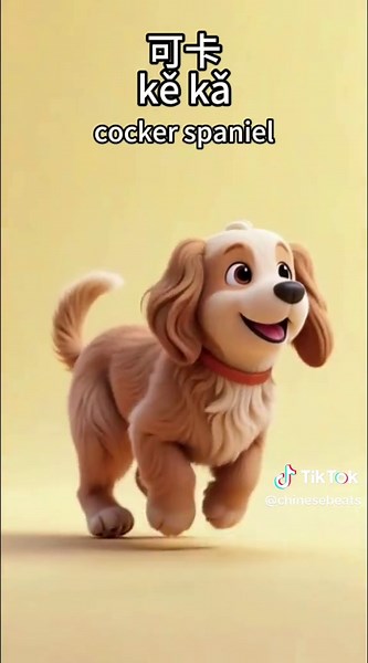 Learn Chinese with medium-sized dogs! 🐶 One fun animation to learn how to say 6 medium dog breeds in Chinese! From Shiba Inu to other popular breeds—learn their Chinese names easily with lively animations 🎶 👉 Tell me your favorite dog in the comments, and let’s talk about medium-sized pets in Chinese next time! 🐾 #LearnChinese #ChineseForBeginners #MandarinLearning #DogBreeds #MediumDogs #FunChinese #学习中文