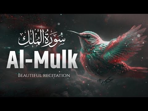 Surat Al Mulk | Protection from the Punishment of the Grave | Beautiful Quran Recitation