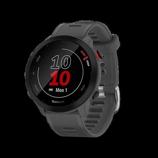 Forerunner 55 | 智能手錶 | Garmin Hong Kong