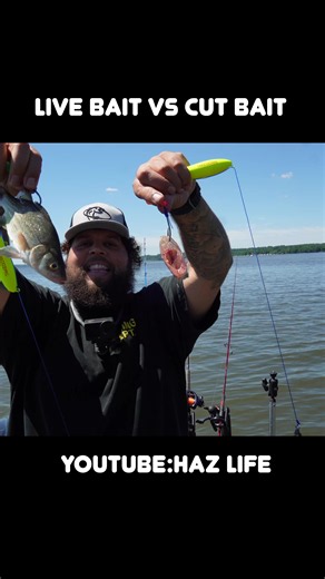 Live bait VS cut bait !!! Which bait is better ??? | fishing bait