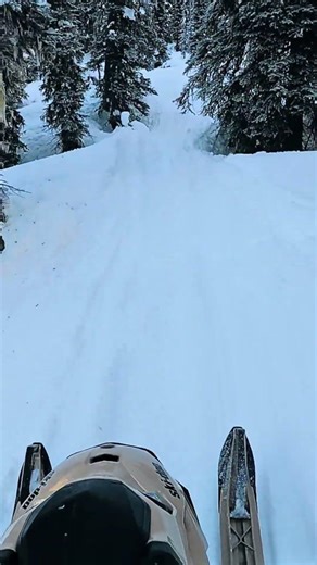 Icy trail ride in 🥶 #snowmobiling #mountains #adventure #skidoo #hideoutmedia
