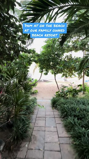 Explore Bolongo Bay: A Family-Owned Beach Resort