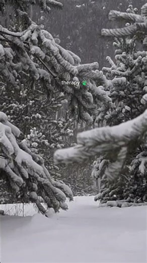 Massive winter storm hitting hard - #asmr #winter #snow #snowfall
