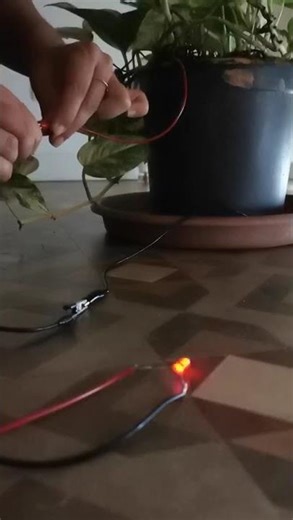 Photo Microbial Fuel Cell