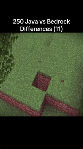 250 Java vs Bedrock Differences — Minecraft Java vs Bedrock
