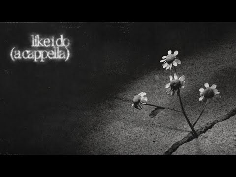 Ariana Grande - like i do (a cappella)