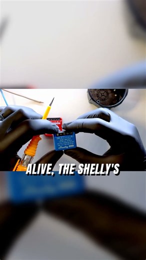 Shelly's Wi-Fi Needs Power: No Boot-Up If Wrong! #shelly #diy #smarthome