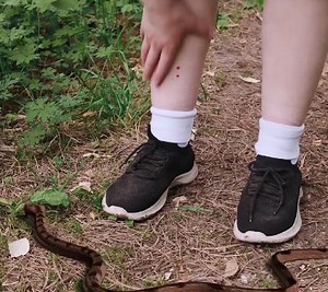 1.2M views · 3.4K reactions | Essential Camping Survival Hacks! | 3-Minute Hacks | Facebook