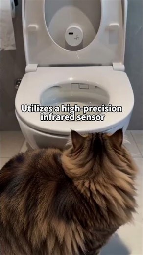 Do you find it a hassle to have to flush the toilet for your cat all the time? #Lifehack#Hygienic