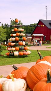 8.9K views | Visit West MI's #1 Fall destination this Wed-Sun! ⚡️ Attractions, photo ops, pumpkins, & so much more! 李 ️ Discounted tickets online! ️ Sept. 5th - Oct. 31st | Lewis Adventure Farm & Zoo | Facebook