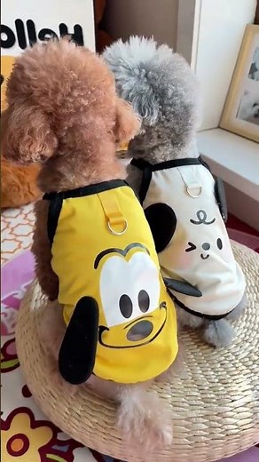 Adorable Puppy Custom Outfits Watch the Transformation! #puppyoutfits #customdogcostumes