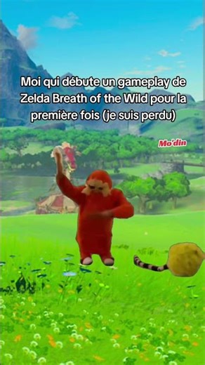 😂 Me, just starting out with Zelda gameplay for the first time! #zelda