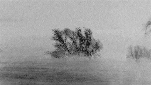 Labocine on Instagram: "Pick of the day: "El enojo del río Uruguay (The anger of the Uruguay river )" directed by Marcelo Cugliari. Link: www.labocine.com/films/el-enojo-del-rio-uruguay-the-anger-of-the-uruguay-river The city of Colón, located on the banks of the Uruguay River in the province of Entre Ríos, Argentina, is ravaged by a flood. The overflowing waters have transformed the urban landscape into a mosaic of inverted light and shadow, where the urban landscape tells a story of nostalgia