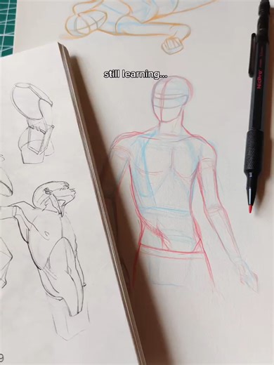 Discovering Morpho: Simplified Forms for Artists